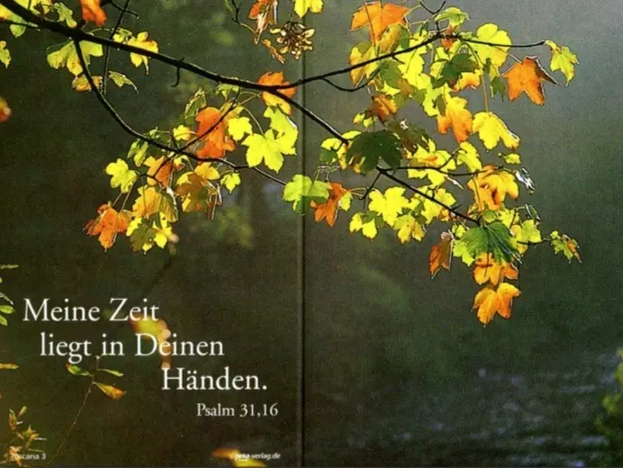 Condolence image of ⭐️❤️Gute Nacht Jackusiu❤️⭐️