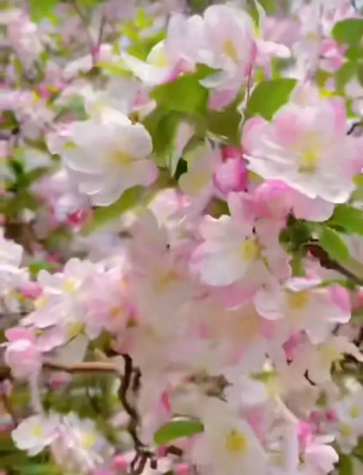 Condolence image of Für den lieben Jacki ♥️⭐♥️