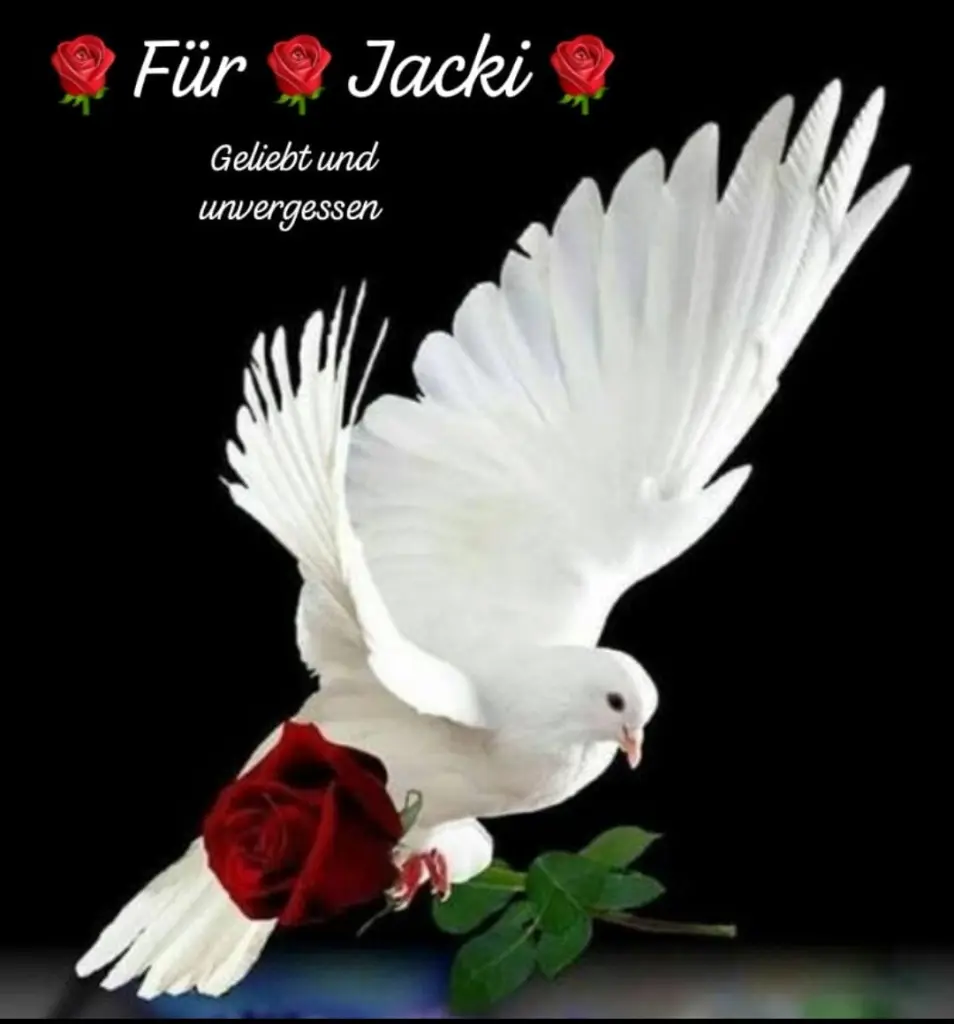 Condolence image of 11 Monate...... Sehnsucht ❤️