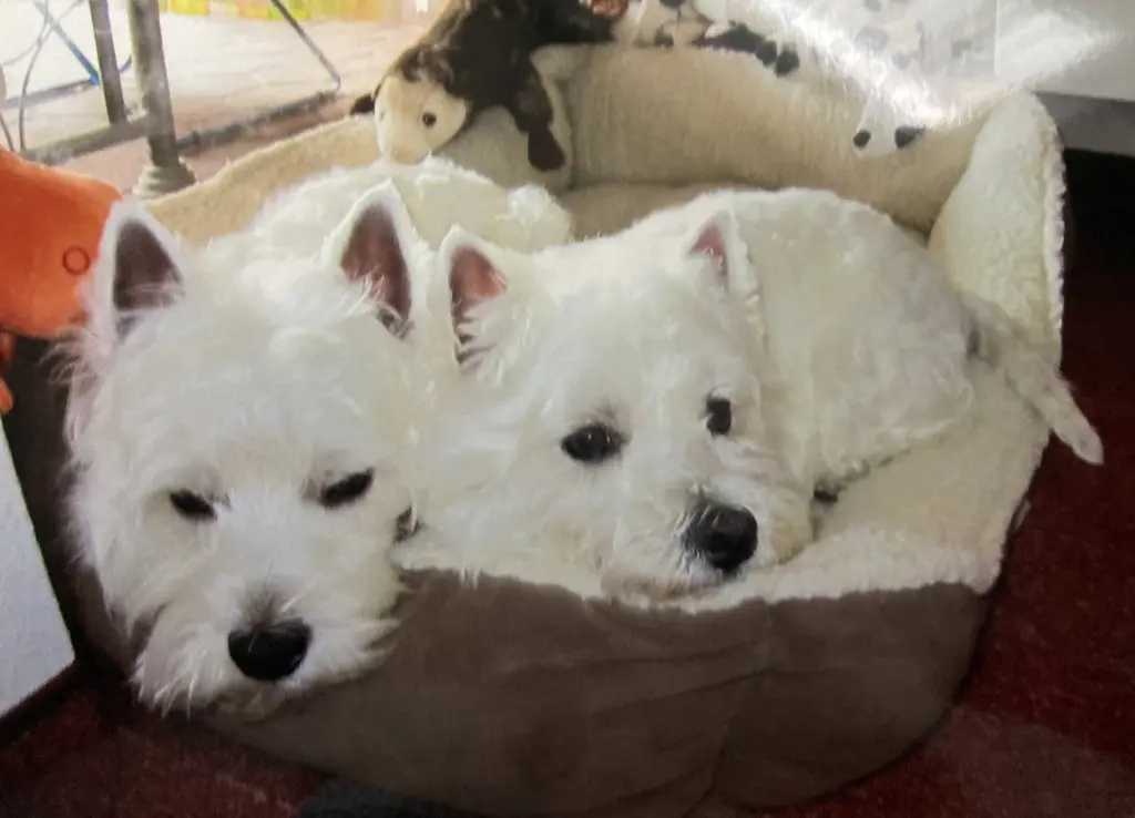 Condolence image of Unbekannt