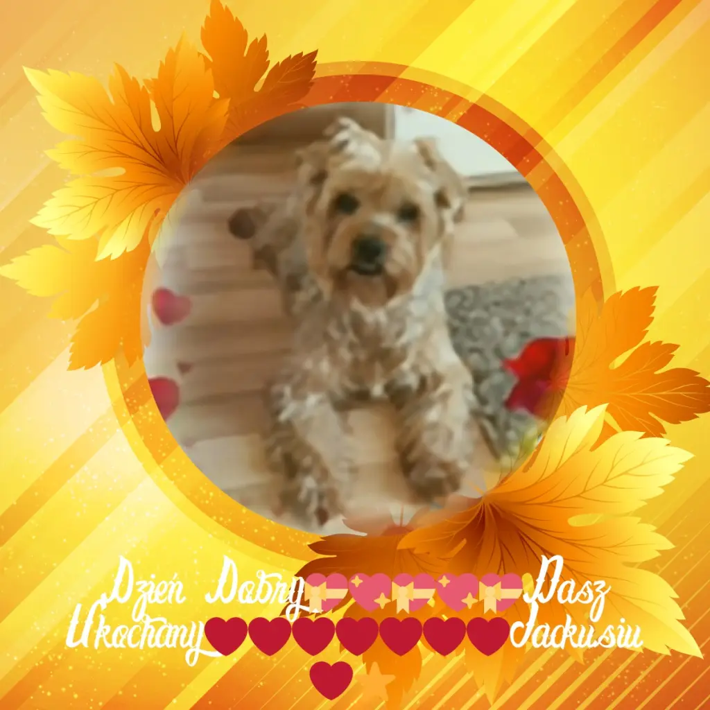 Condolence image of 48 Tygodni.....BEZ CIEBIE❤️⭐️UKOCHANY❤️❤️❤️❤️❤️❤️❤️❤️JACKUSIU❤️⭐️