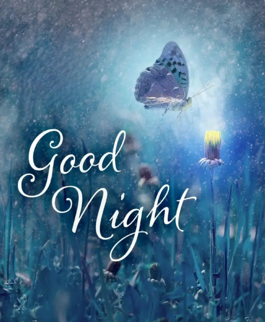 Condolence image of ⭐️❤️Gute Nacht Jackusiu❤️⭐️