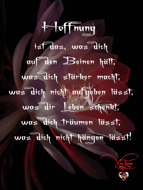 Condolence image of Angelika mit ihrer Seele Luna ❤️