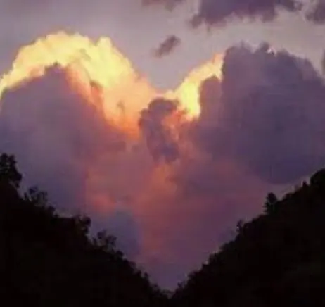 Condolence image of ⭐️❤️Gute Nacht Jackusiu❤️⭐️