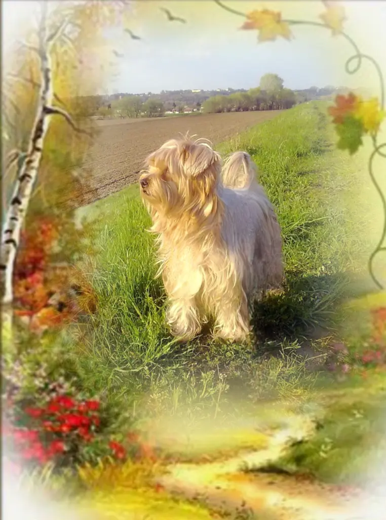 Condolence image of Ewa & Krzysztof 