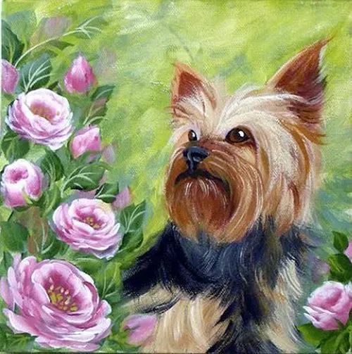 Condolence image of Für den lieben Jacki ♥️⭐♥️