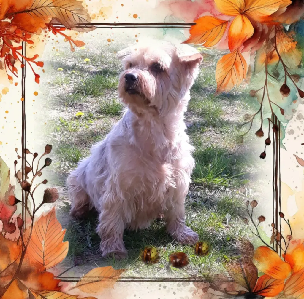 Condolence image of Ewa & Krzysztof 