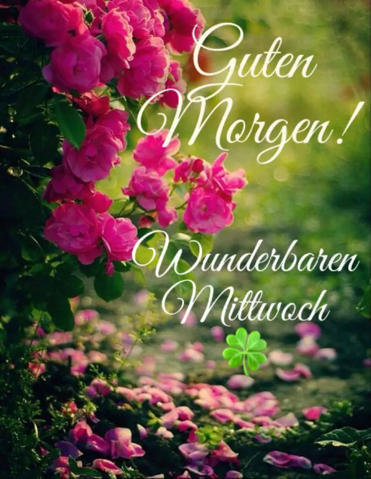 Condolence image of Martina mit Seelenhund Samy ♥️⭐♥️ für immer im Herzen 