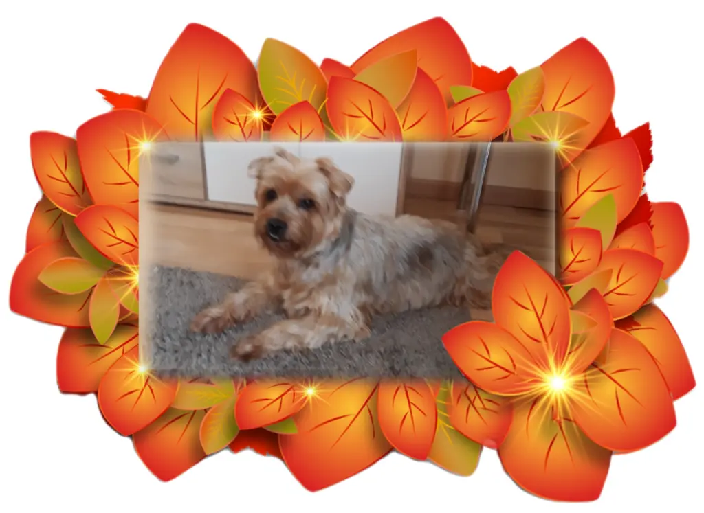 Condolence image of Ewa & Krzysztof 