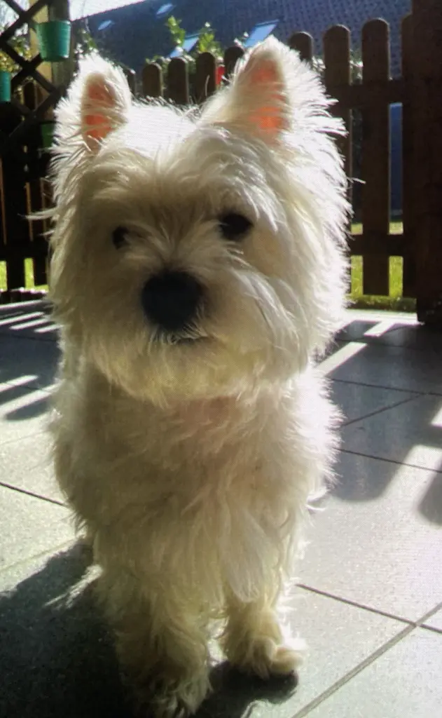 Condolence image of Unbekannt