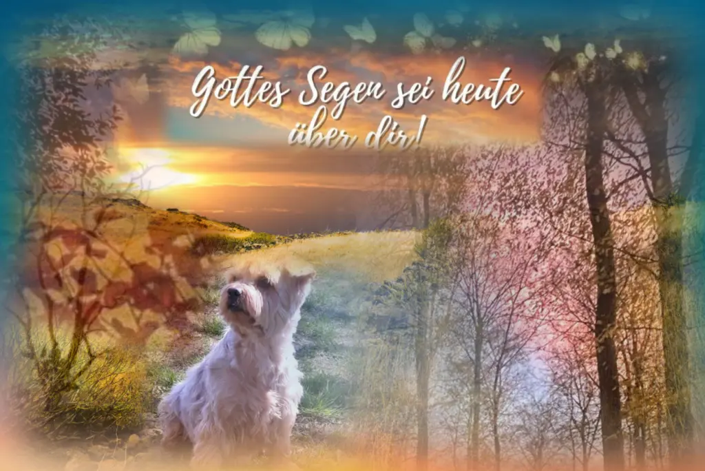 Condolence image of Dobranoc ❤️Jacki ❤️