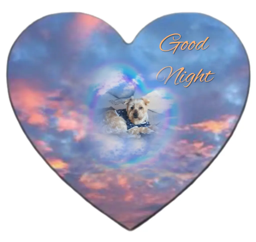 Condolence image of ⭐️❤️Gute Nacht Jackusiu❤️⭐️