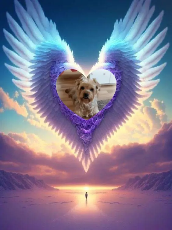 Condolence image of Dobrej Nocki❤️❤️❤️Jackusiu❤️⭐️