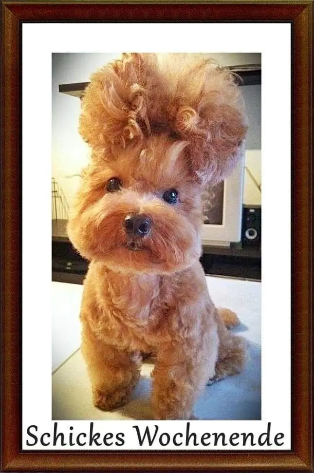 Condolence image of Claudia/ASKO ❤ 