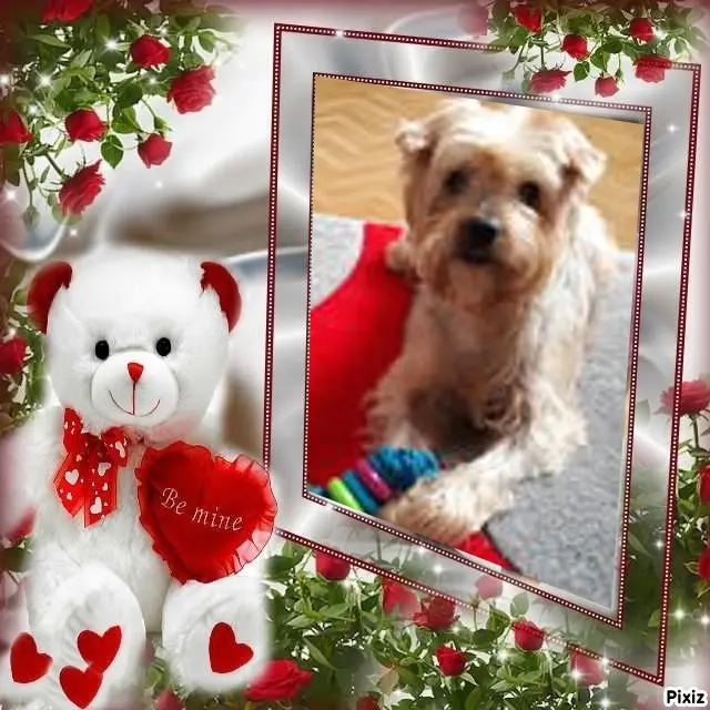 Condolence image of Dzień Dobry❤️❤️❤️Jackusiu❤️⭐️