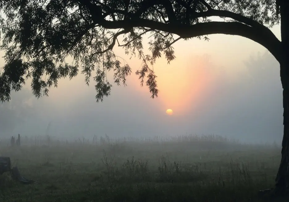 Condolence image of ⭐️❤️Gute Nacht Jackusiu❤️⭐️