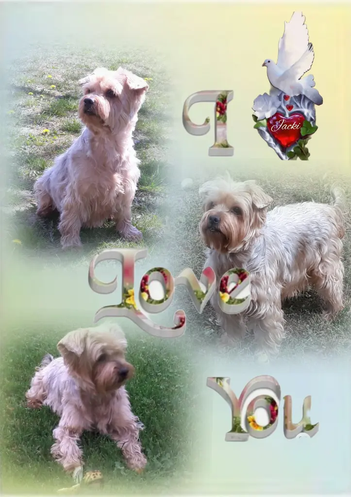 Condolence image of ❤️❤️