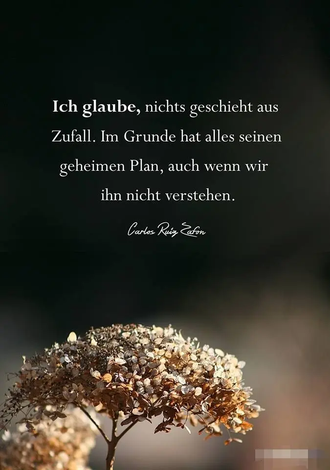 Condolence image of Dobranoc ❤️Jacki ❤️