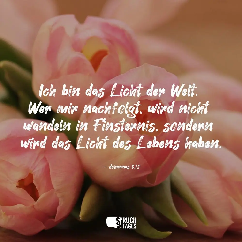 Condolence image of Elke und Horst mit Fiby ❤️