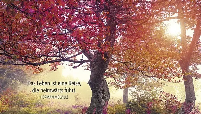 Condolence image of ❤️Einen Rosengruß ❤️