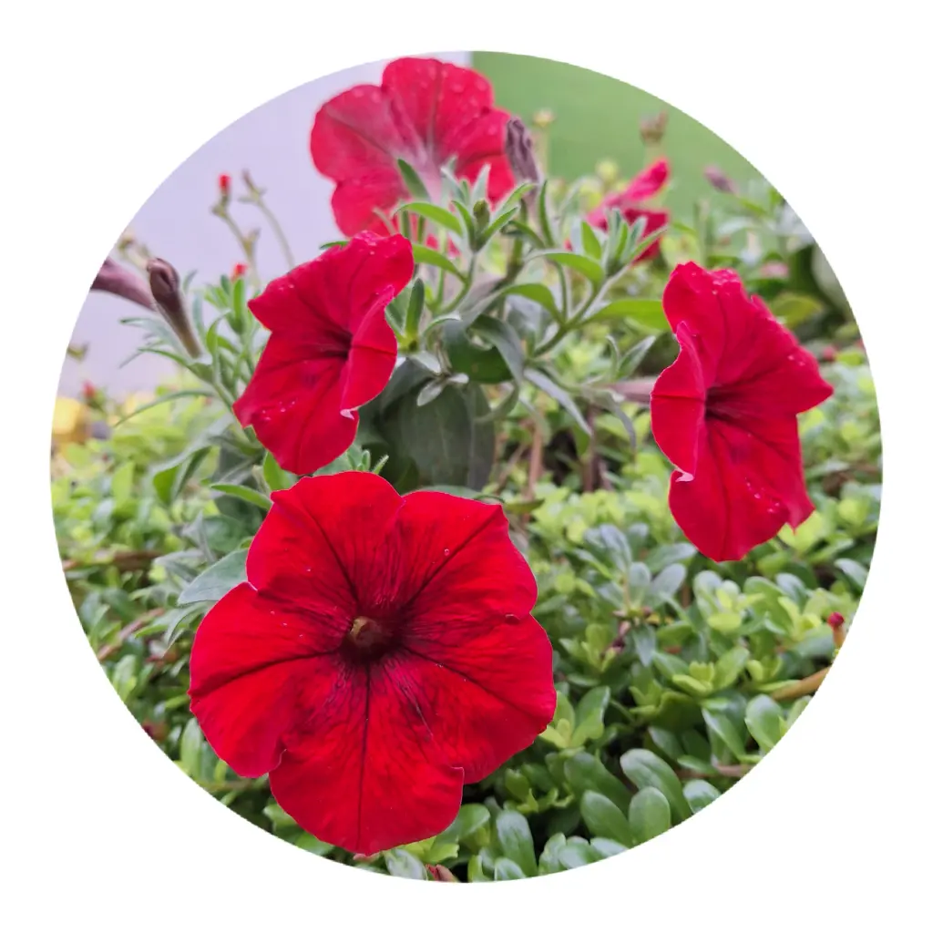 Condolence image of ❤️❤️