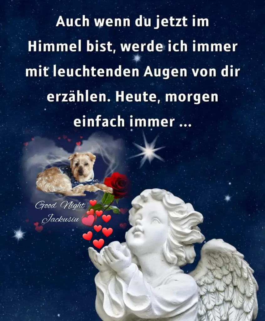 Condolence image of ⭐️❤️Gute Nacht Jackusiu❤️⭐️