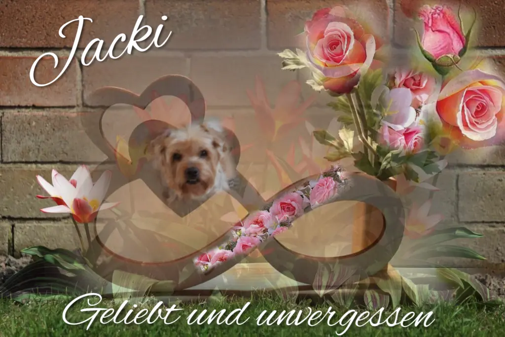 Condolence image of 51 Wochen..... Sehnsucht ❤️