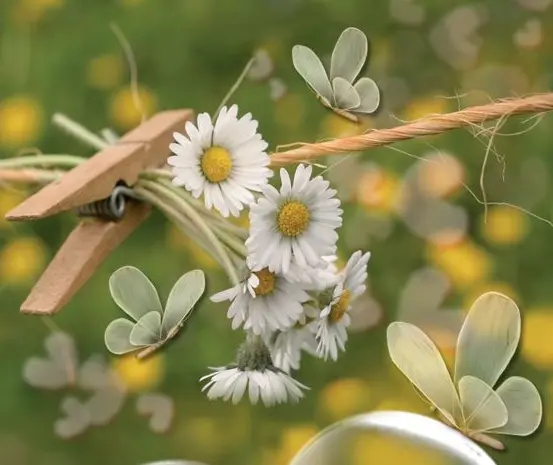 Condolence image of ❤️Für Jacki ❤️