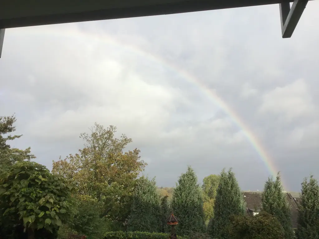 Condolence image of ❤️ Jacki ❤️