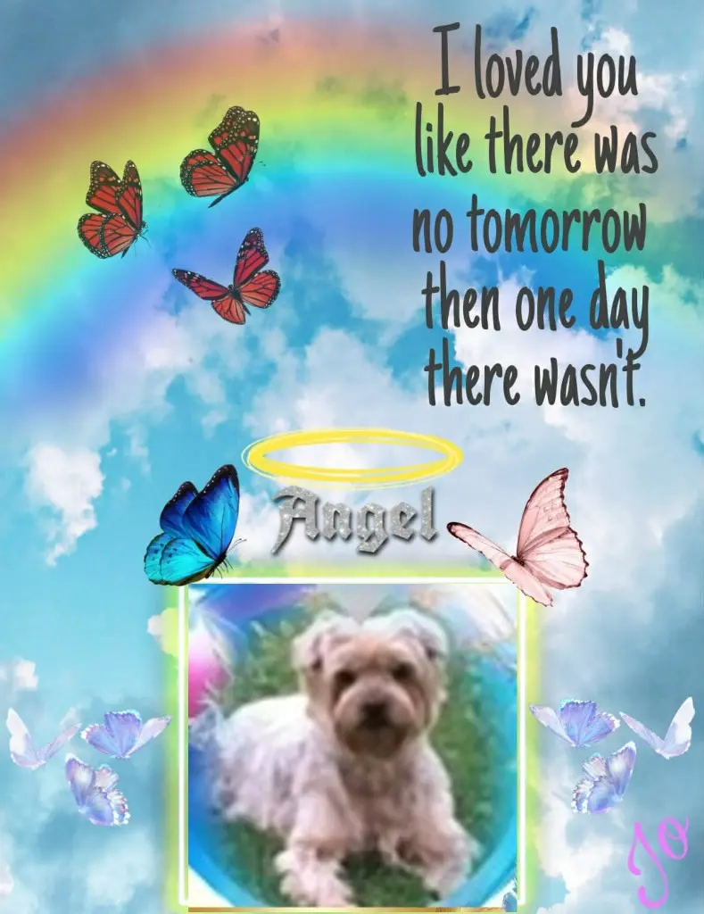 Condolence image of 51. Tygodni....Bez Ciebie❤️⭐️Jackuniu❤️⭐️