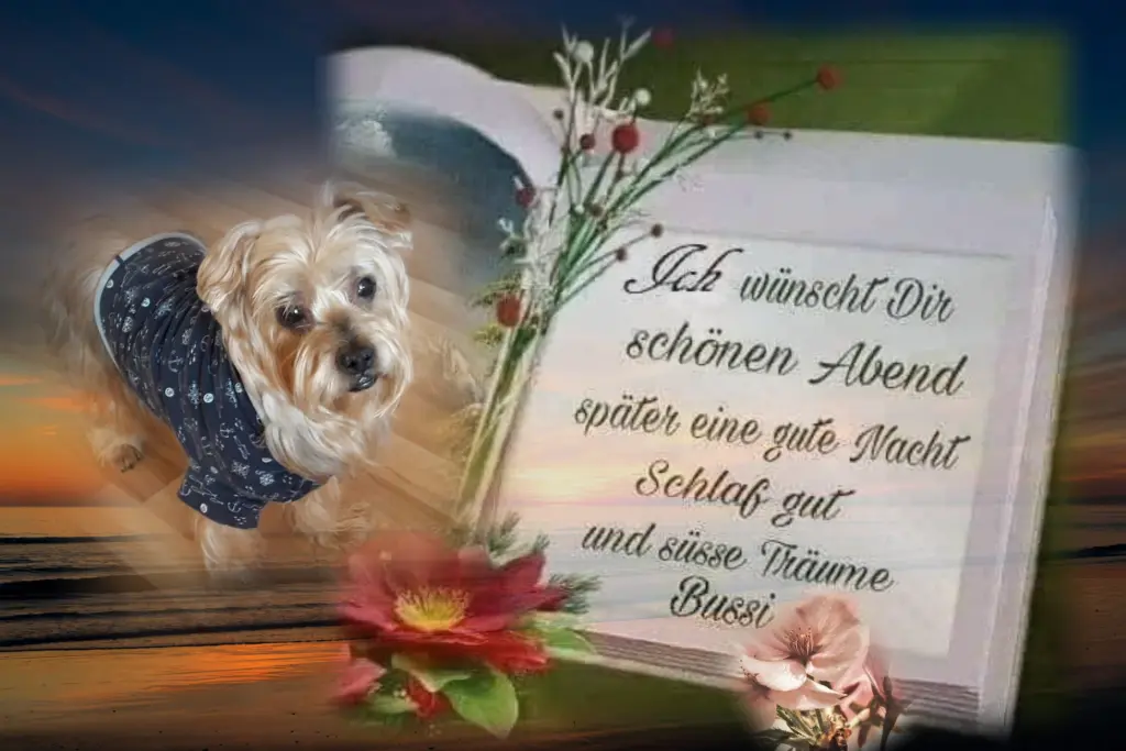 Condolence image of Dobranoc ❤️Jacki ❤️