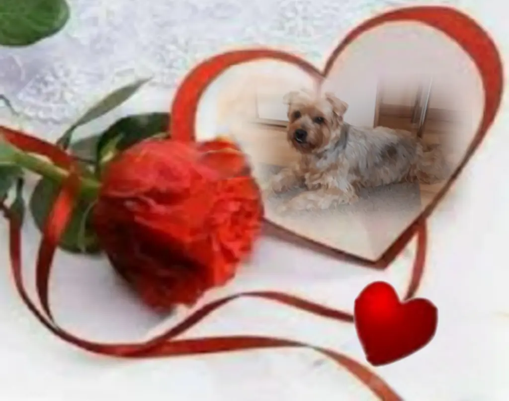 Condolence image of Ewa & Krzysztof 