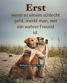 Condolence image of Claudia/ASKO ❤ 