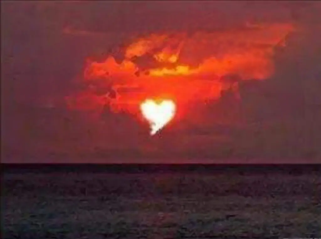 Condolence image of ⭐️❤️Gute Nacht Jackusiu❤️⭐️