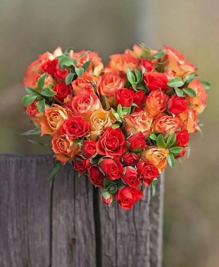 Condolence image of Gute Nacht ⭐⭐