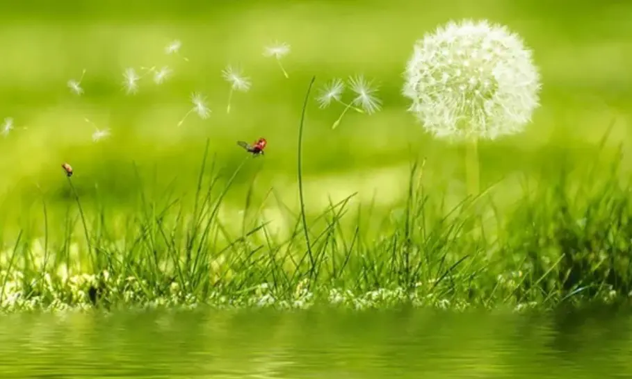 Condolence image of Ewa & Krzysztof 