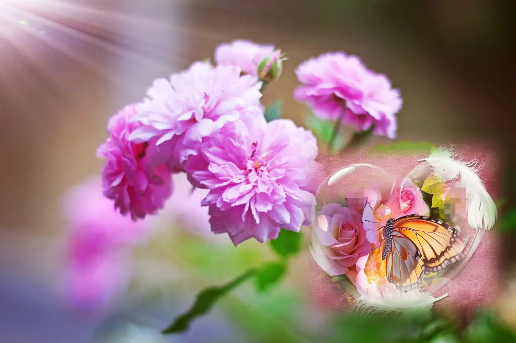 Condolence image of ❤️Myśli prosto z serca ❤️