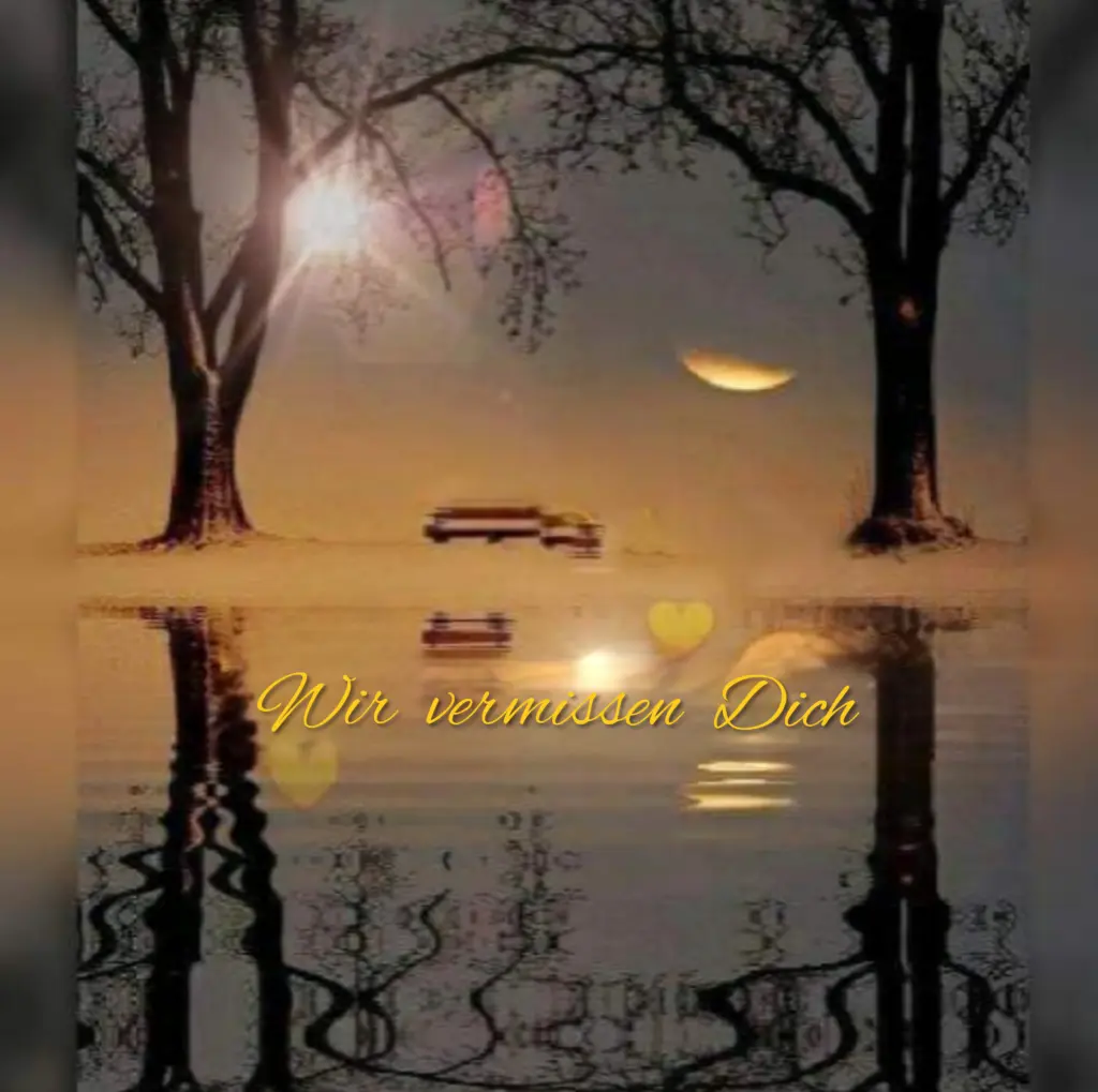 Condolence image of ⭐️❤️Gute Nacht Jackusiu❤️⭐️