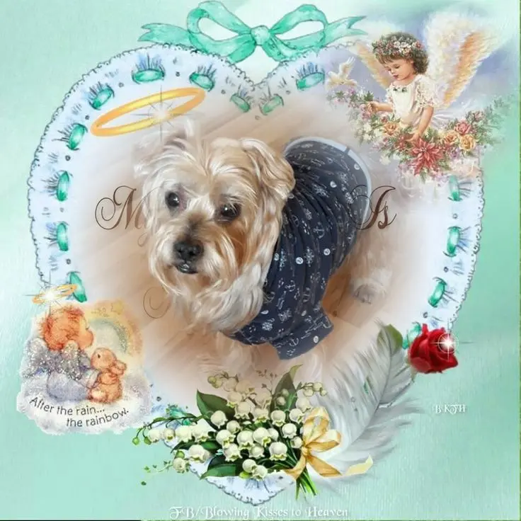 Condolence image of 52 Tygodnie Bez Ciebie❤️⭐️Jackusiu❤️⭐️