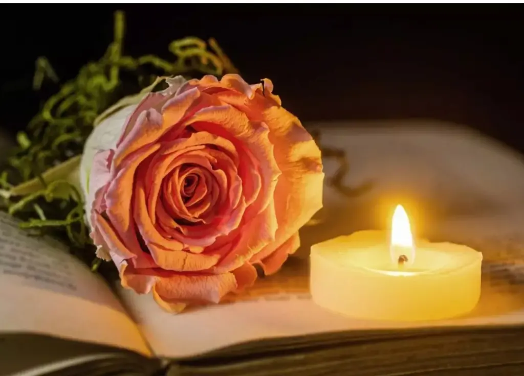 Condolence image of ⭐️❤️Gute Nacht Jackusiu❤️⭐️