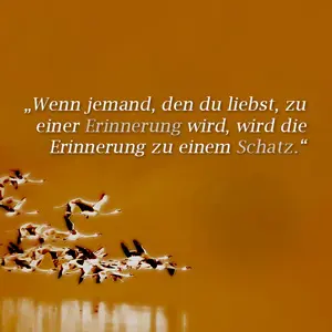 Condolence image of 1 Jahr - ❤️ Sehnsucht und Vermissen ❤️