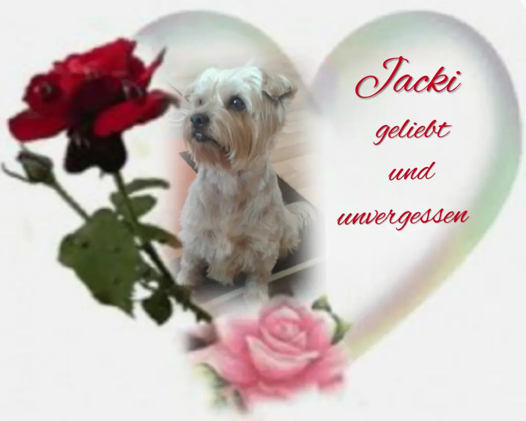 Condolence image of ❤️Herzlichen Dank❤️