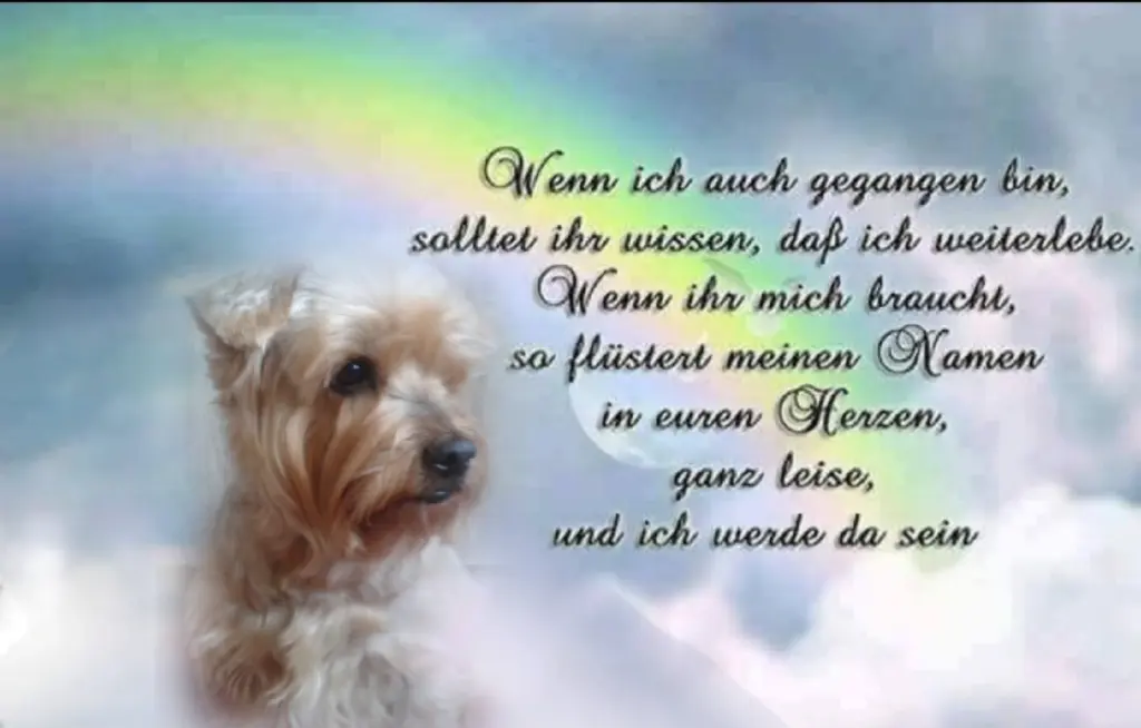 Condolence image of Jacki❤️