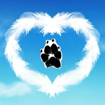 Condolence image of Krzysztof