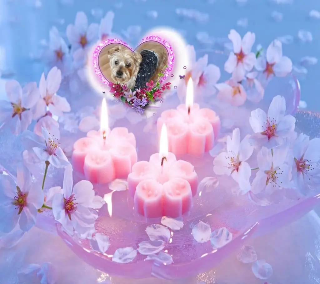 Condolence image of Światełko❤️Pamięci❤️❤️❤️