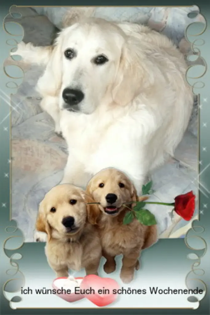 Condolence image of Claudia/ASKO ❤️ 