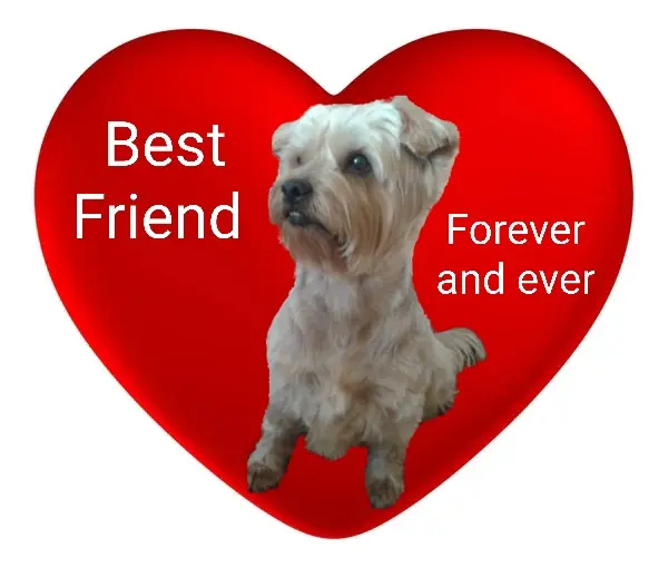 Condolence image of Ewa i Krzysztof