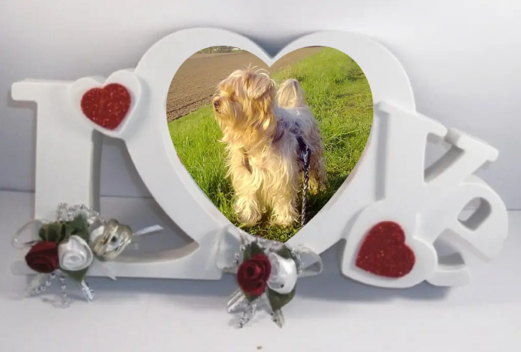 Condolence image of Sonntag...53 Wochen ohne Dich lieber Jackuś❤️