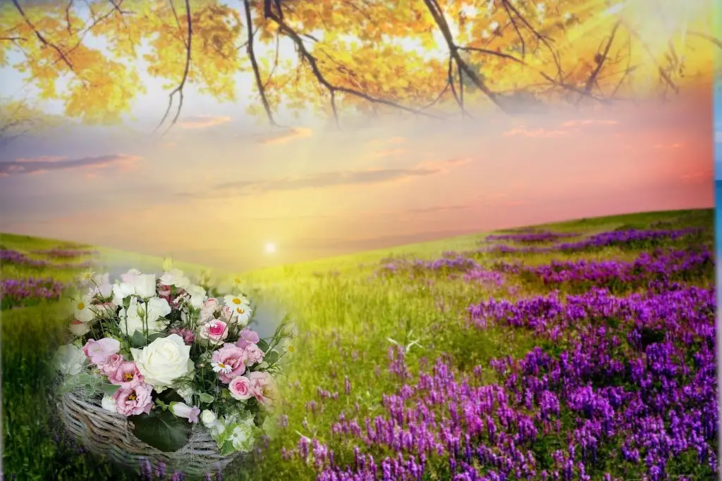 Condolence image of 53.....Wochen Sehnsucht ❤️