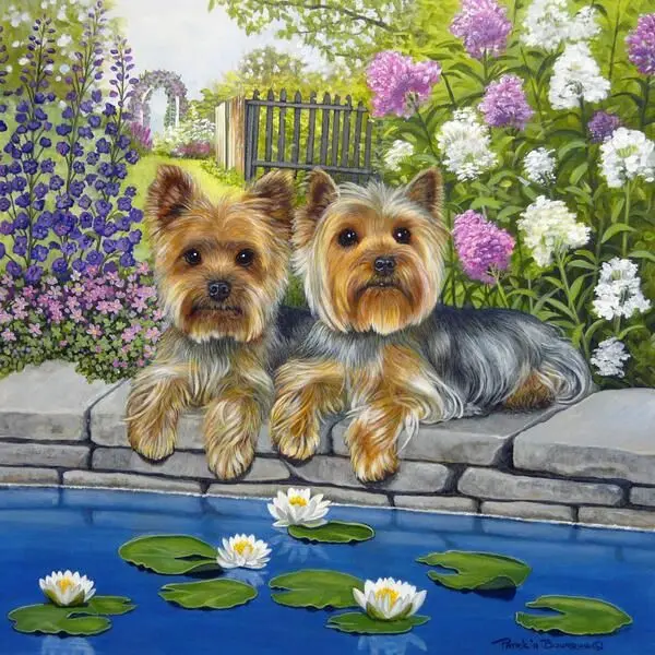 Condolence image of Martina mit Seelenhund Samy ♥️⭐♥️ für immer im Herzen 